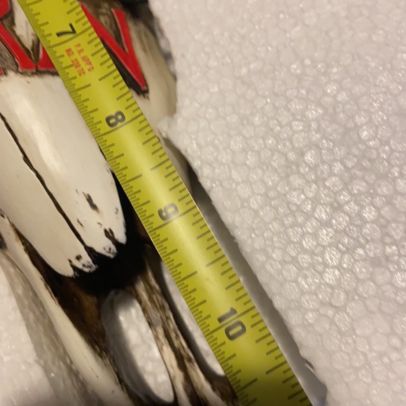 Veteran Resin skull - Picture 3 of 3